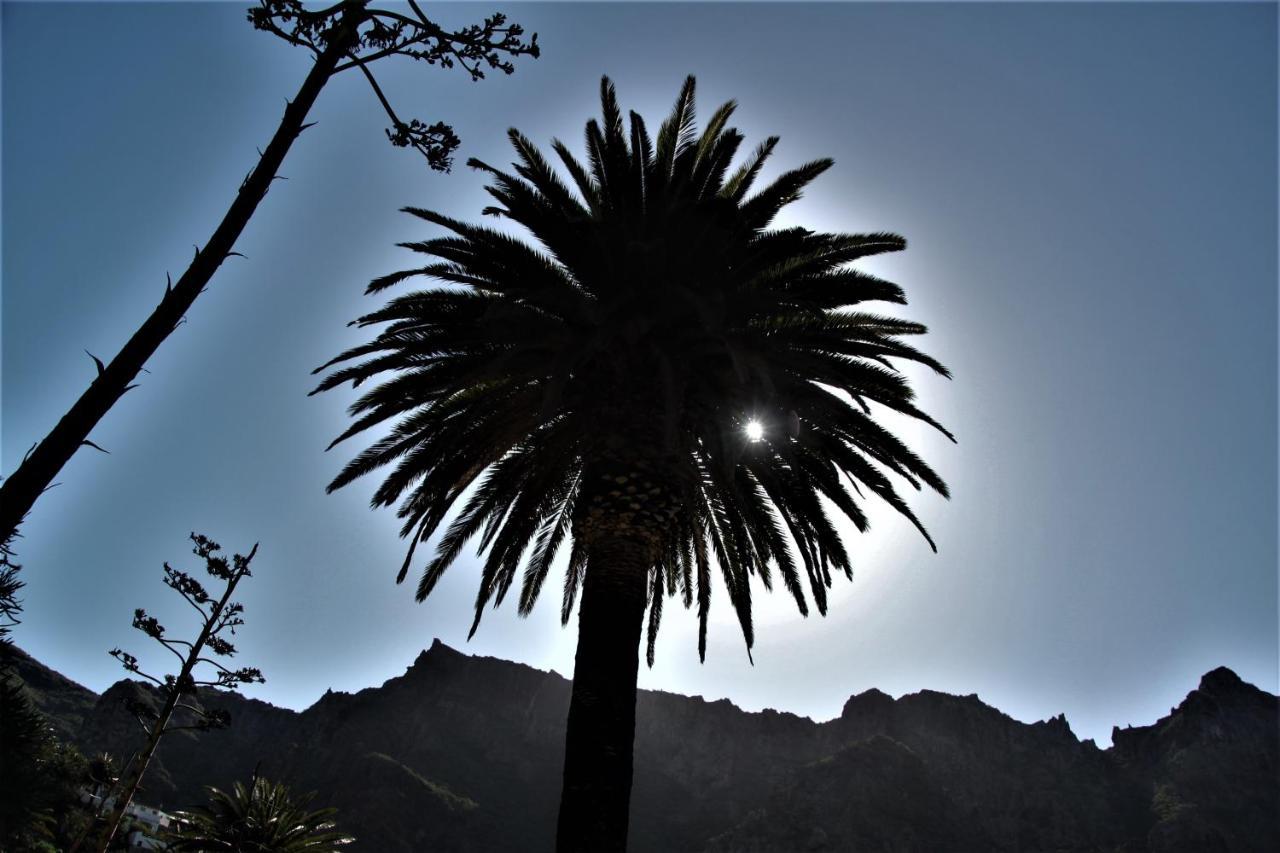 Tenerife Beach Apartment Adeje アデヘ エクステリア 写真